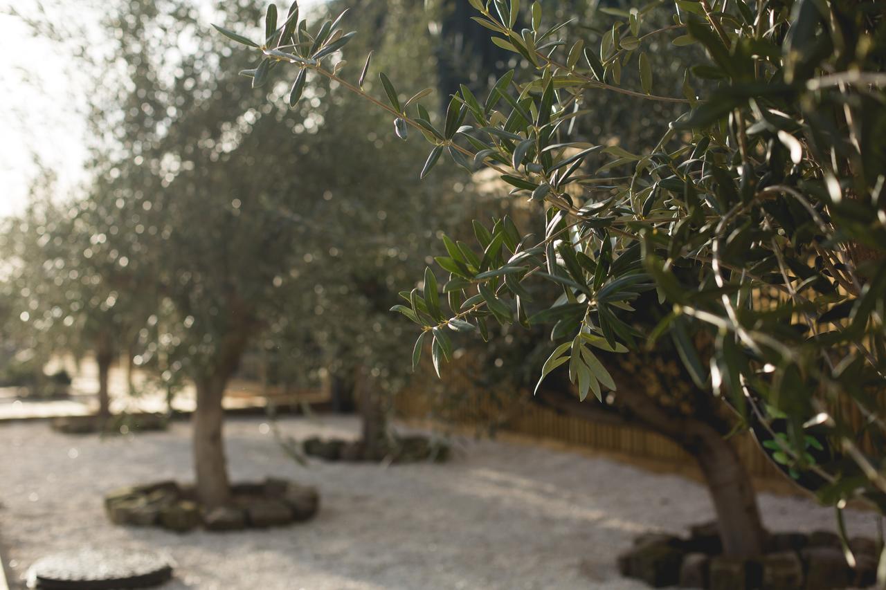Owen House Farm Bed and Breakfast Knutsford Εξωτερικό φωτογραφία